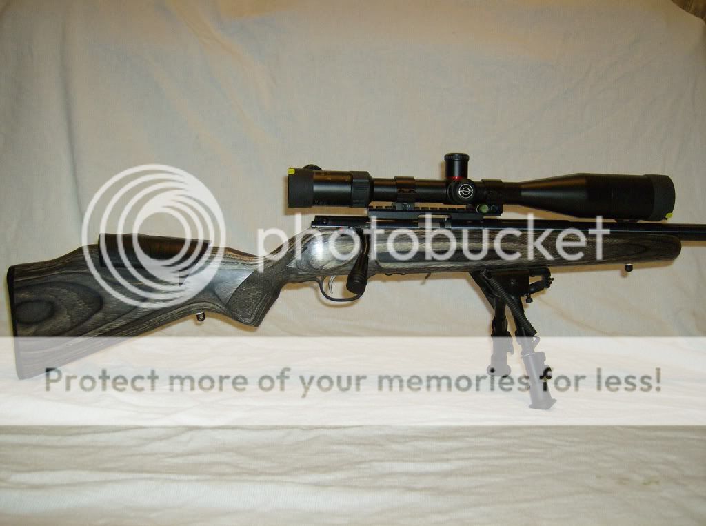 Bipod vs Sandbags vs Lead Sled Page 2 Rimfire Central Firearm Forum